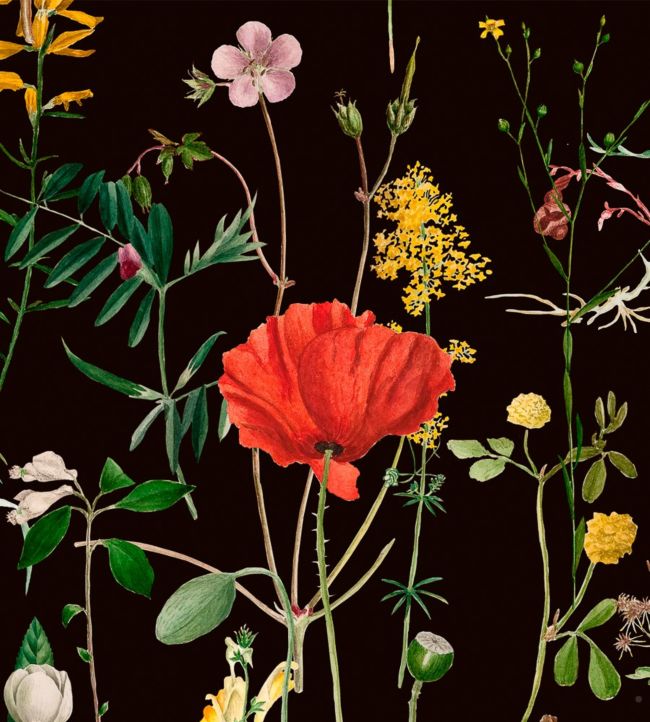 Aquafleur Wallpaper - Black