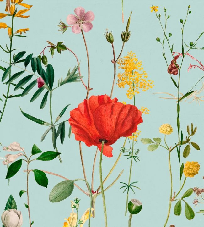 Aquafleur Wallpaper - Teal