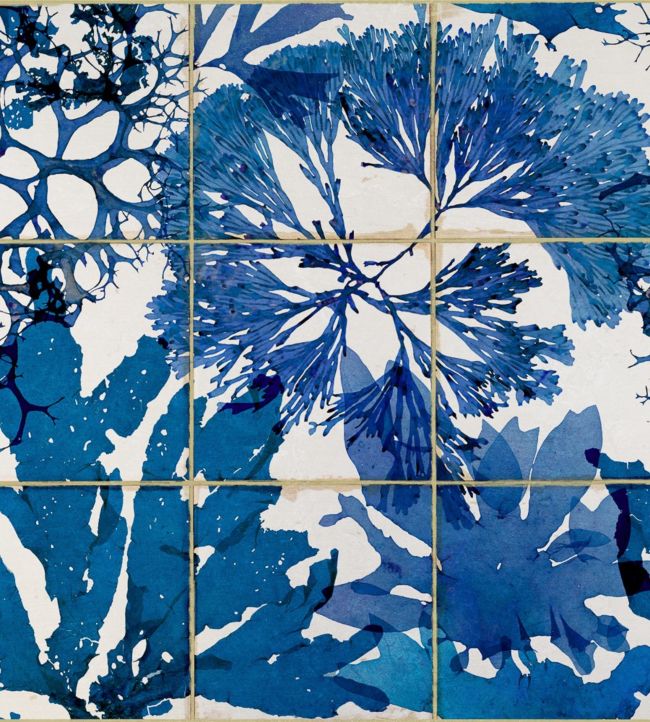 Algae Wallpaper - Blue