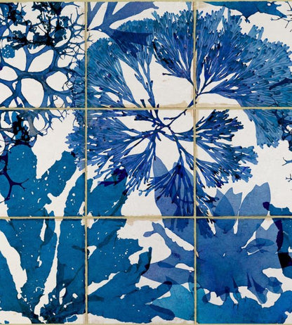 Algae Wallpaper - Blue