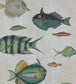 Poissons Wallpaper - Purple