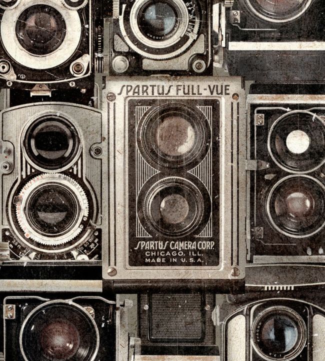 Obscure Wallpaper - Gray