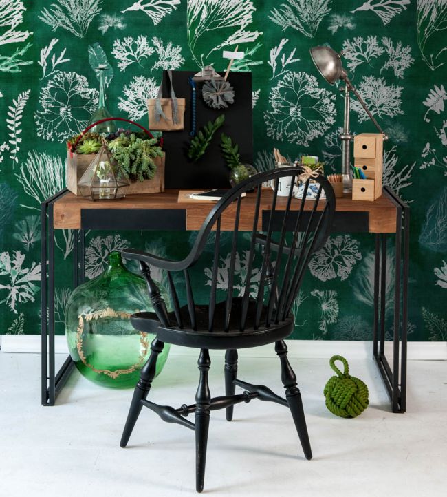 Algae Room Wallpaper - Green
