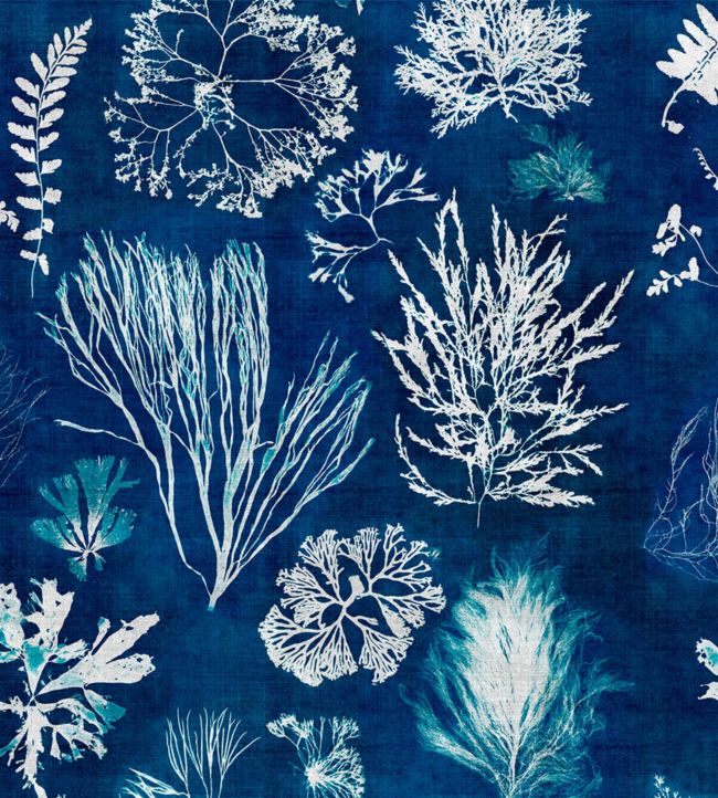 Algae Wallpaper - Blue
