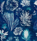 Algae Wallpaper - Blue