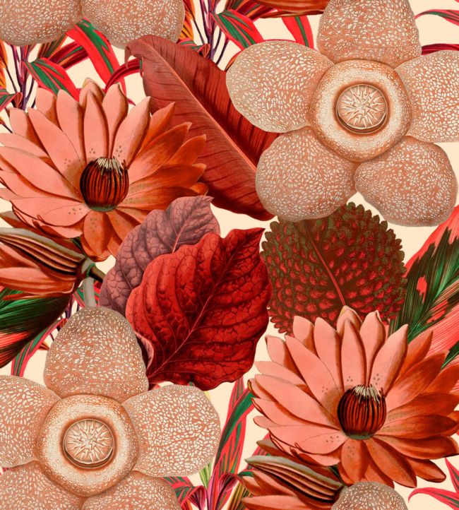 Water Lilies Wallpaper - Red