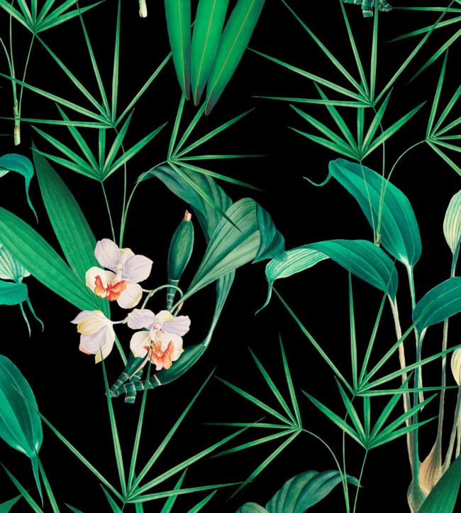 Palm Springs Wallpaper - Green 