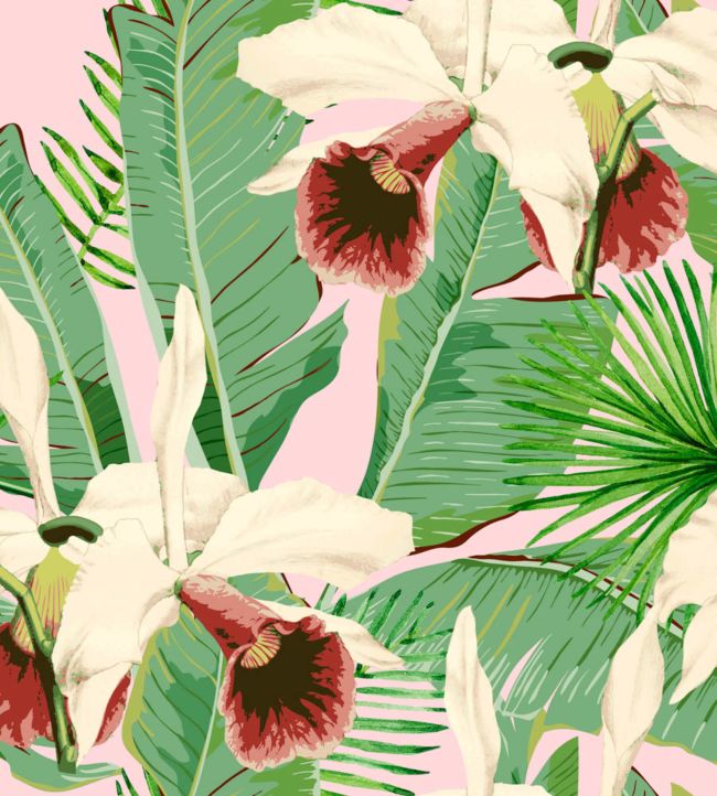 Treasure Island Wallpaper - Green