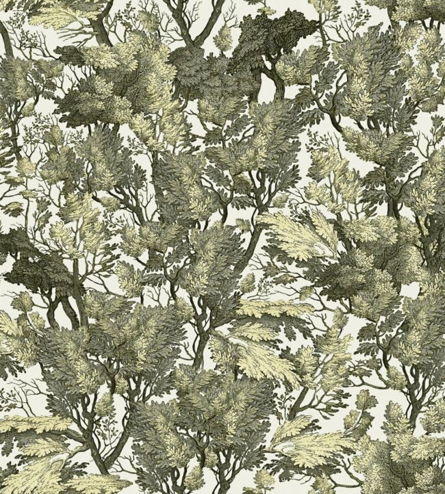 Tree Foliage Wallpaper - Green