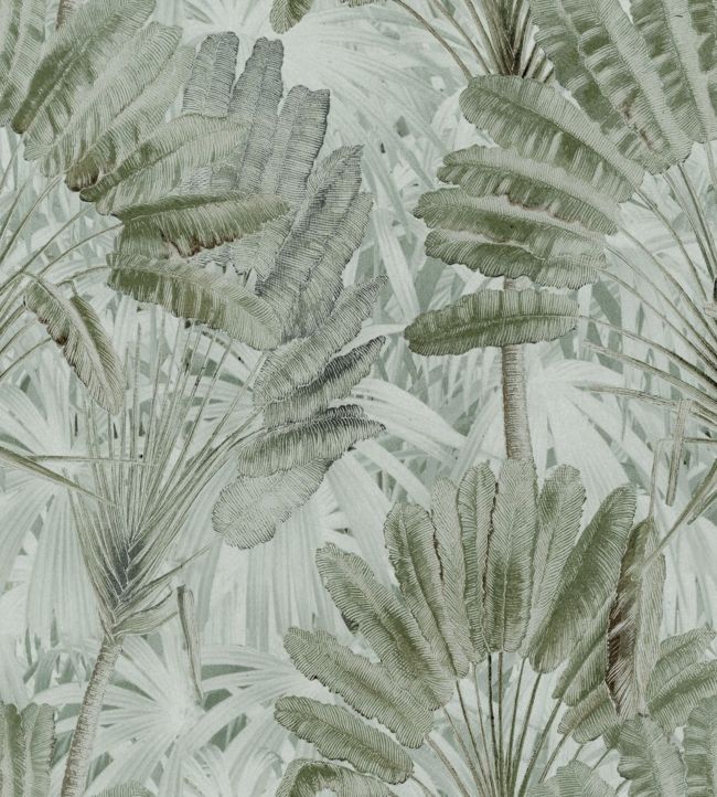 Traveller's Palm Wallpaper - Green 