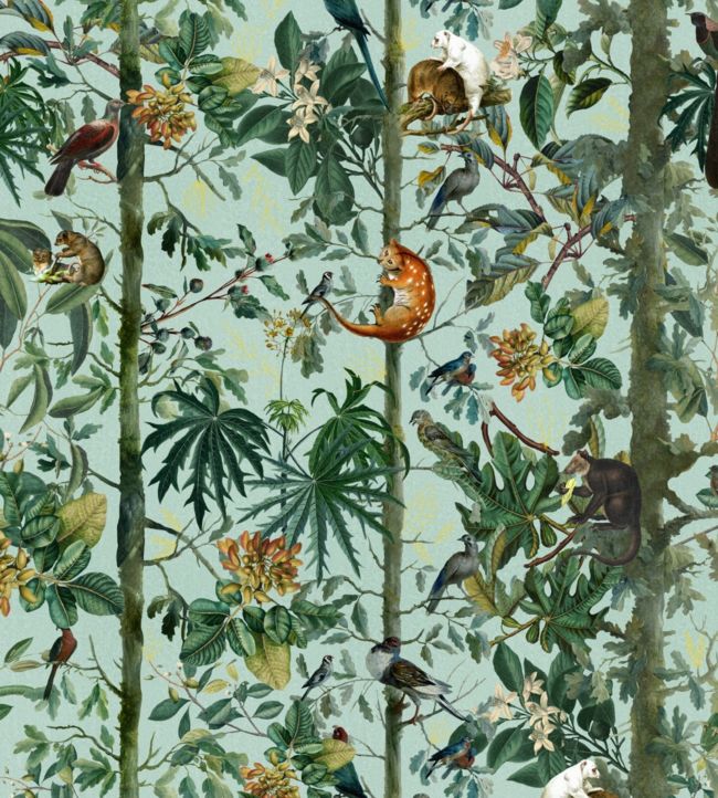 Wildlife Of Papua Wallpaper - Green