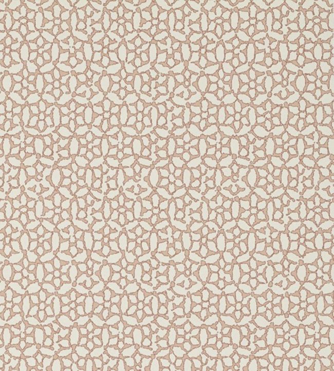 Chinese Daisy Wallpaper - Pink