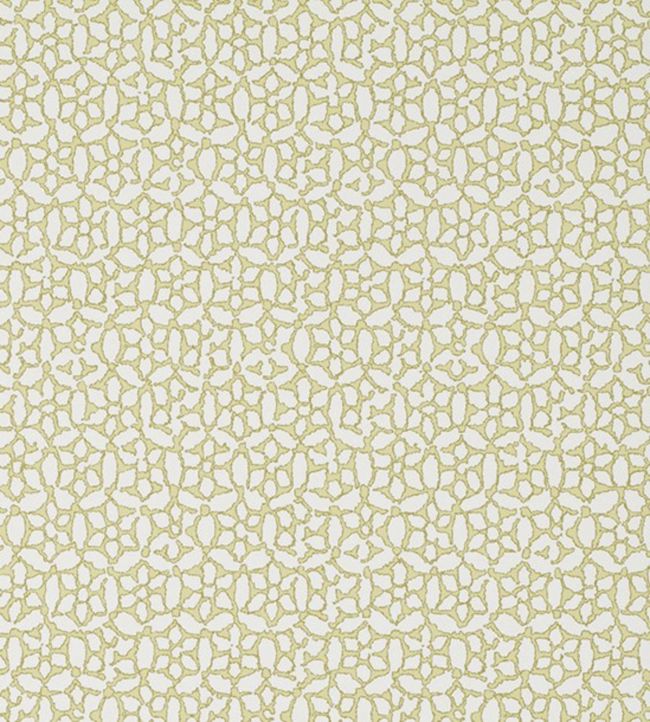 Chinese Daisy Wallpaper - Green