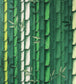 Bamboo Wallpaper - Green
