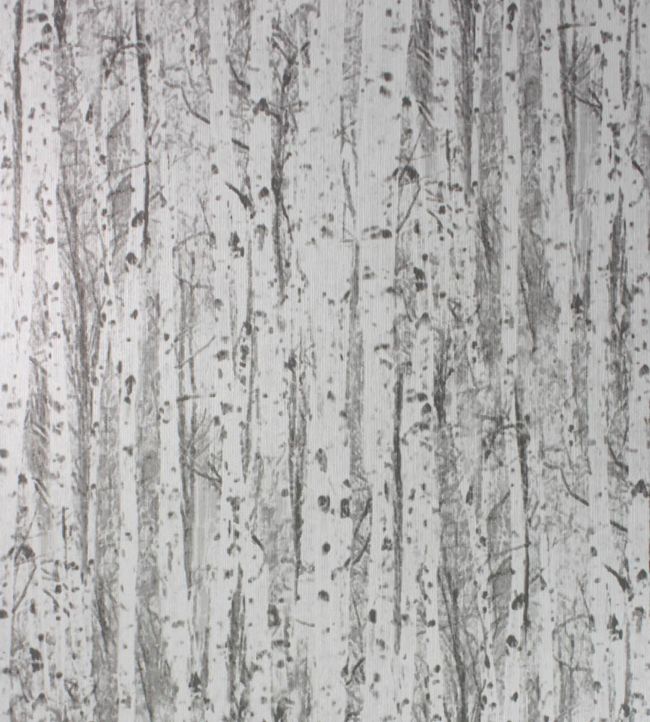 Birch Wallpaper - Gray