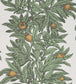 Medlar Wallpaper - Green