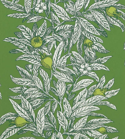 Medlar Wallpaper - Green