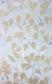 Feuille De Chene Wallpaper - Sand