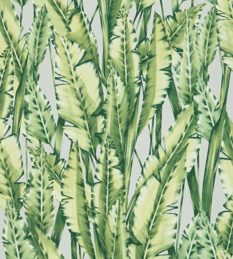 Tiger Leaf Wallpaper - Green 