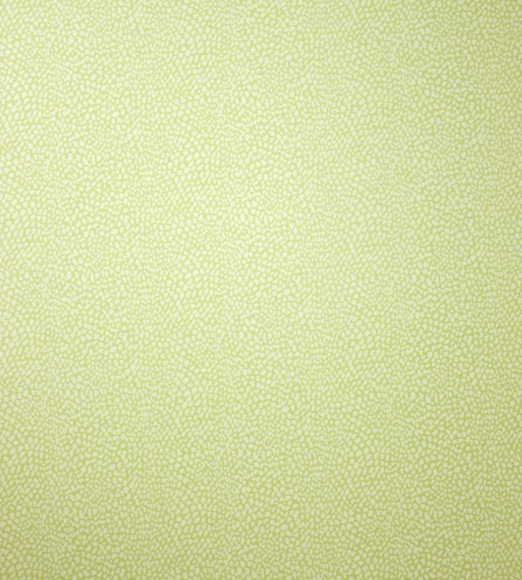 Oriole Wallpaper - Green 